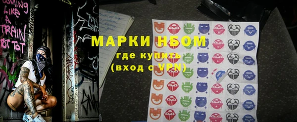 индика Приозерск