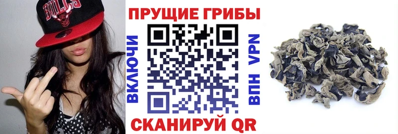Галлюциногенные грибы MAGIC MUSHROOMS  Красавино 